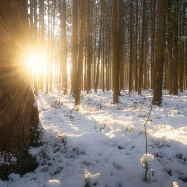 New Year’s Eve 2024: Honoring The Threshold