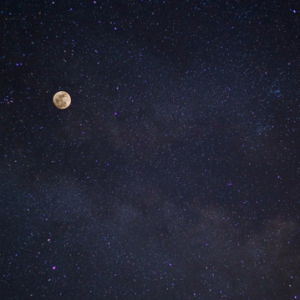 Wednesday Night Moonlight Restorative Yoga with Trista